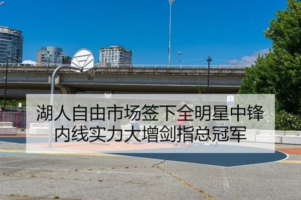 湖人自由市场签下全明星中锋 内线实力大增剑指总冠军
